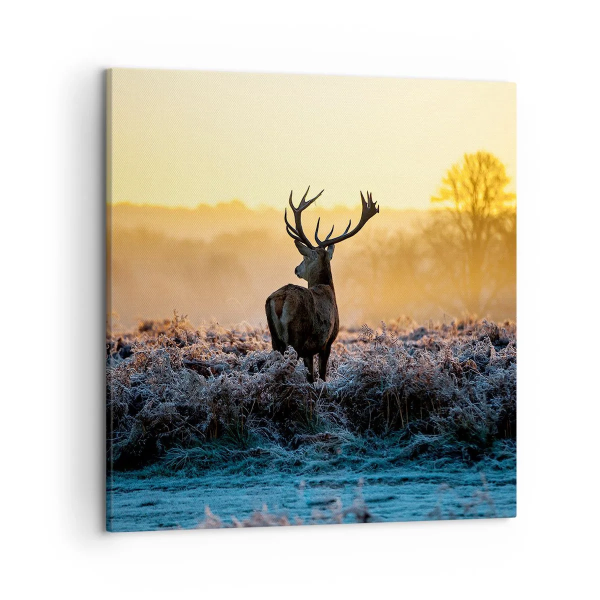 Tablou pe pânză - Încoronat pe domeniul său - 50x50 cm