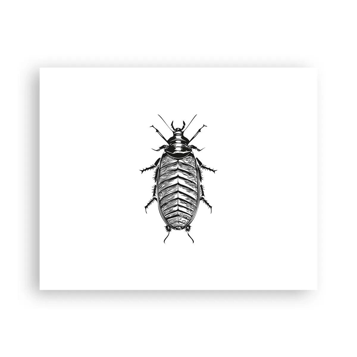 Poster - Ce specimen! - 50x40 cm