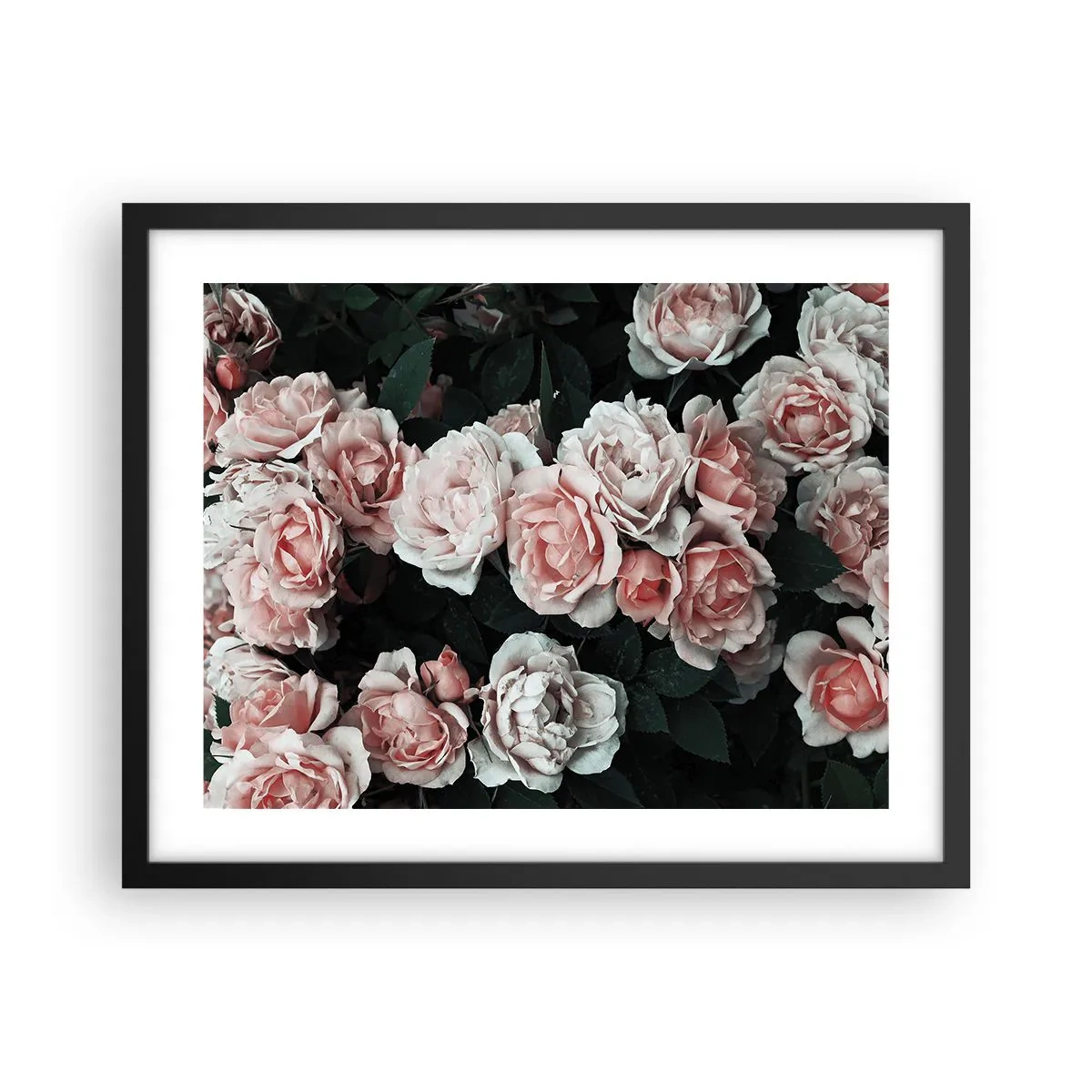 Poster în ramă neagră - Ansamble de trandafiri - 50x40 cm