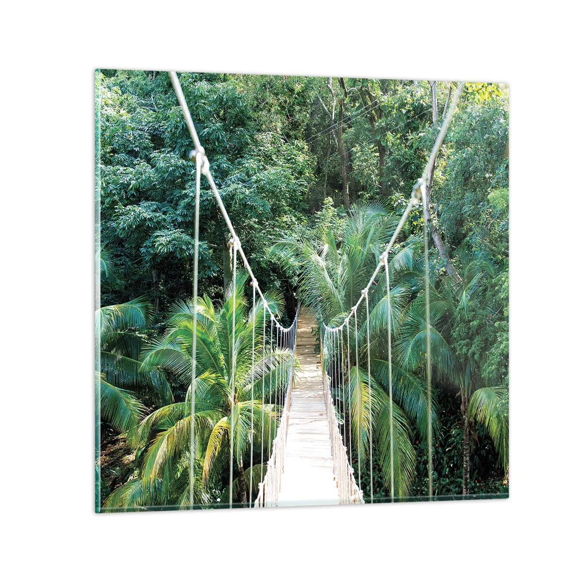 Tablou pe sticlă - Welcome to the jungle! - 50x50 cm