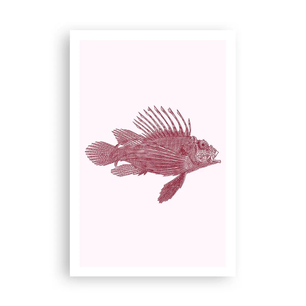 Poster - Un locuitor al apelor exotice - 61x91 cm