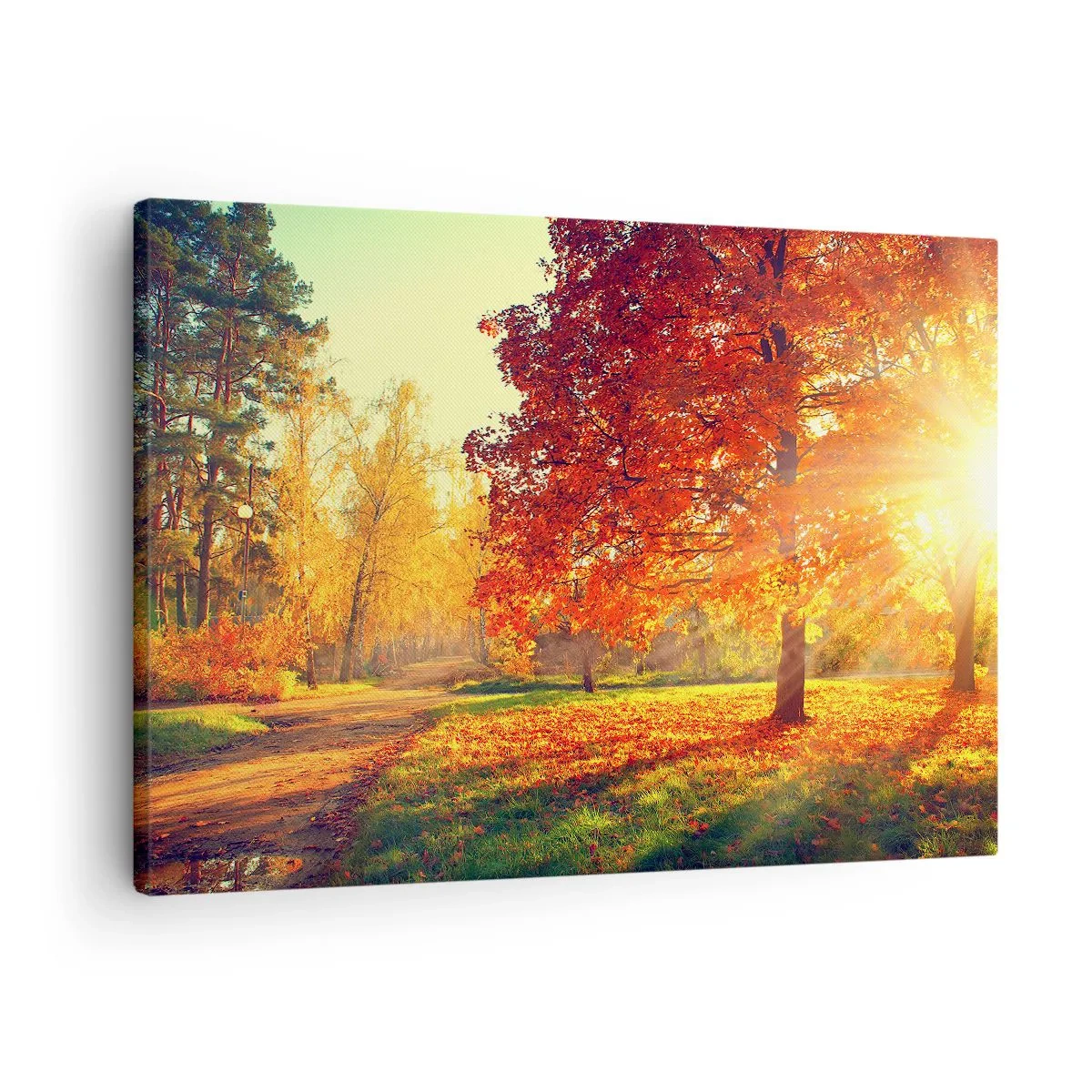 Tablou pe pânză Canvas - Parc de toamnă iluminat de lumina soarelui - 70x50cm - Roșcatul este frumos - Decorațiune modernă pentru perete pentru living și dormitor ARTTOR