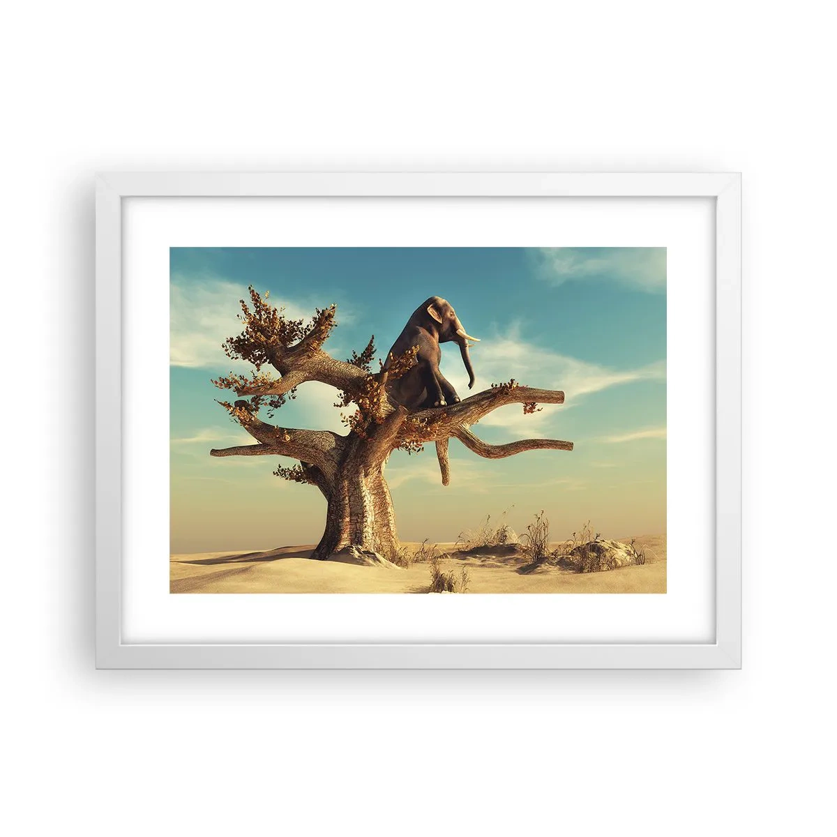 Poster în ramă albă - Un nou punct de vedere - 40x30 cm