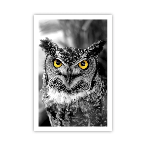 Poster - Nimic nu poate fi ascuns - 61x91 cm