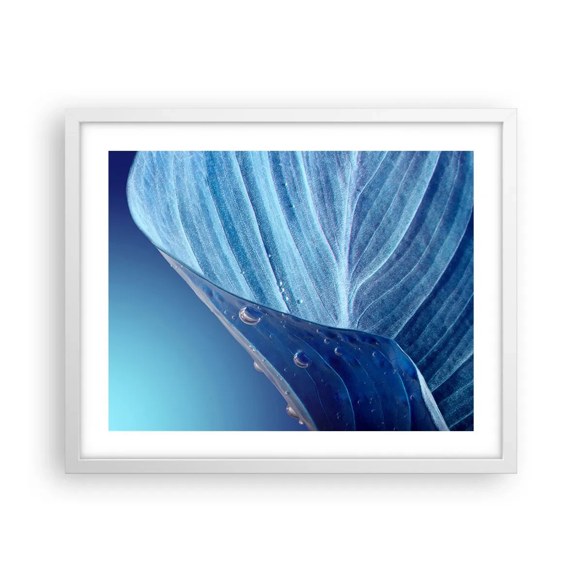 Poster în ramă albă - Picături ascunse de albastru - 50x40 cm