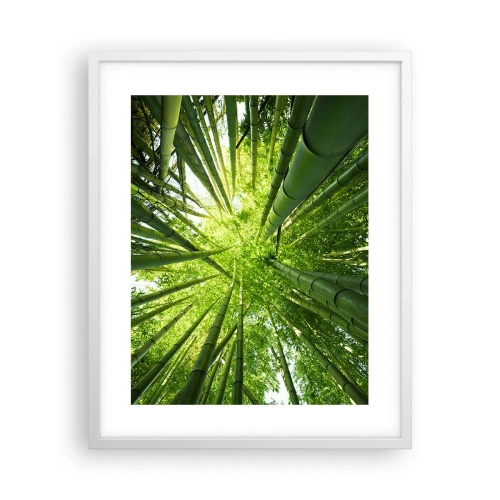 Poster în ramă albă - Într-o pădure de bambus - 40x50 cm