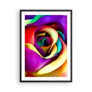 Poster în ramă neagră - Prim-plan al unui trandafir colorat cu petale curcubeu - 50x70cm - Acest lucru este imposibil - Decorațiune modernă pentru perete pentru living și dormitor ARTTOR