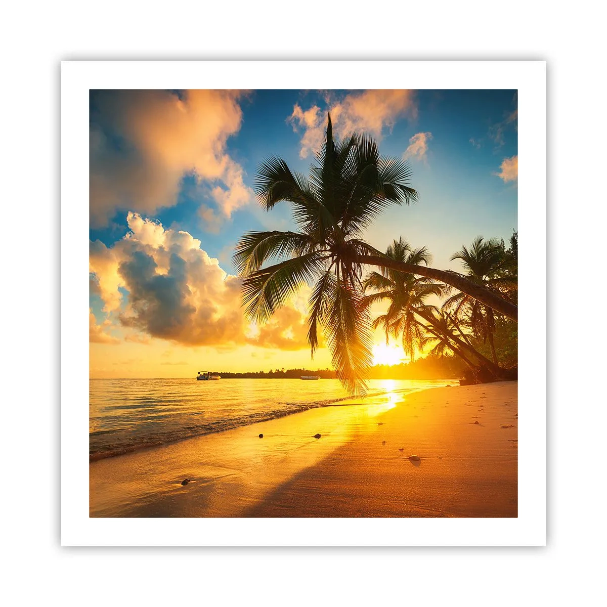 Poster - Visul din Caraibe - 60x60 cm
