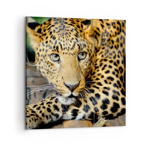 Tablou pe pânză - Nu-ți fie teamă, apropie-te - 50x50 cm