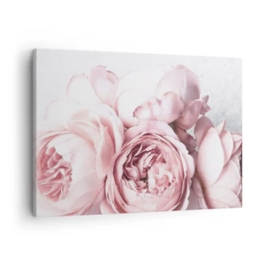 Tablou pe pânză Canvas - Bujori roz în lumină blândă pe un fundal luminos - 70x50cm - Pentru romantici - Decorațiune modernă pentru perete pentru living și dormitor ARTTOR
