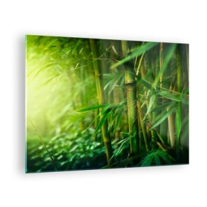 Tablou pe sticlă - Pădure verde de bambus la soare - 70x50cm - Cunoașteți verdeața în sine - Decorațiune modernă pentru perete pentru living și dormitor ARTTOR