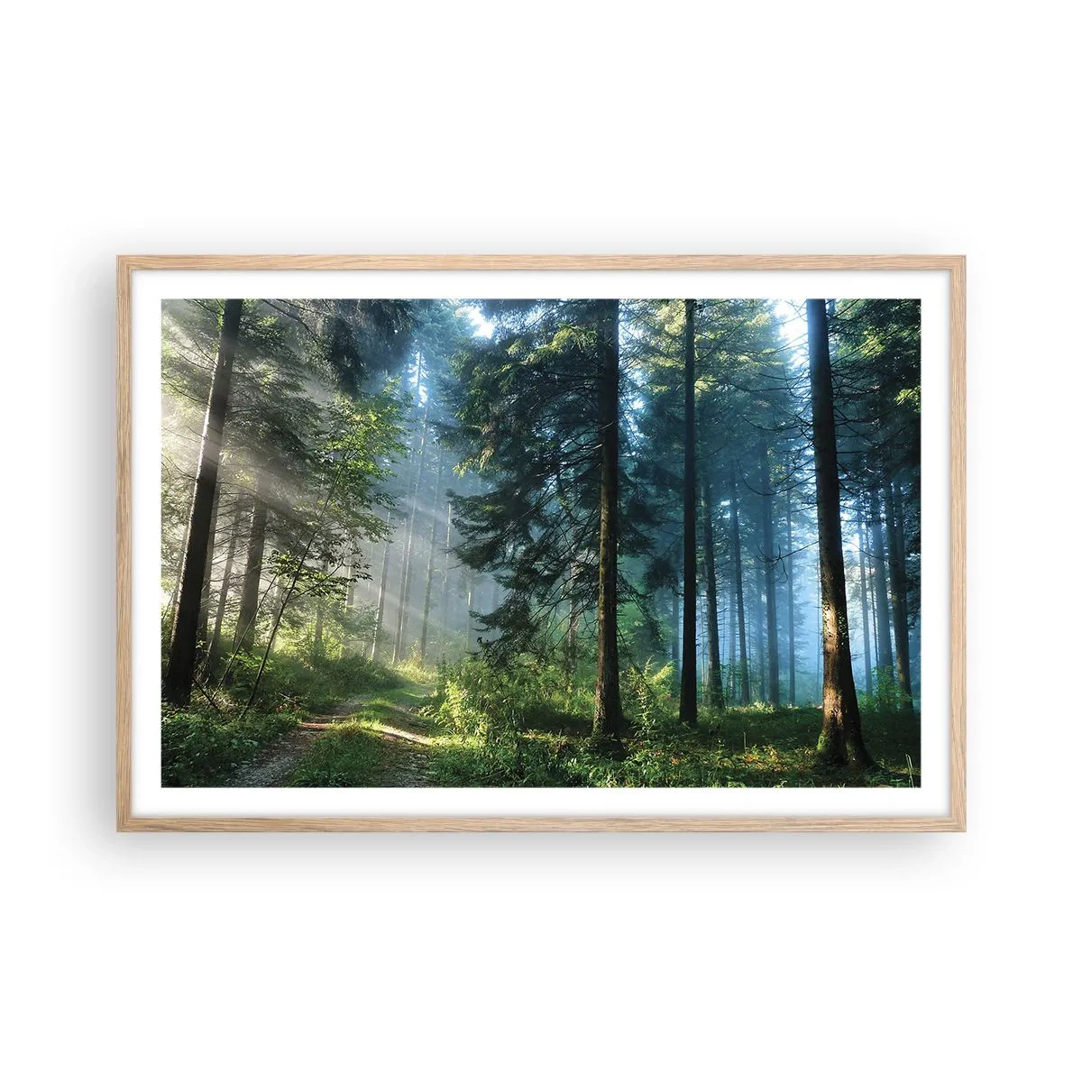 Poster în ramă de stejar deschis - Strălucirea de dimineață - 91x61 cm