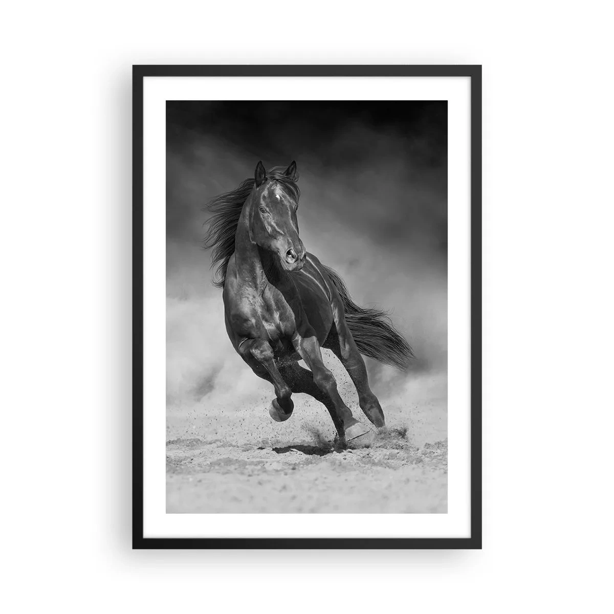 Poster în ramă neagră - Un cal negru într-o cursă dinamică - 50x70cm - Dorința emirului - Decorațiune modernă pentru perete pentru living și dormitor ARTTOR