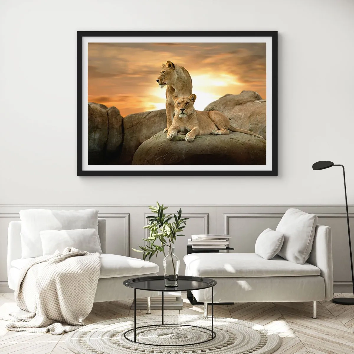 Poster în ramă neagră - Maiestate regală - 40x30 cm