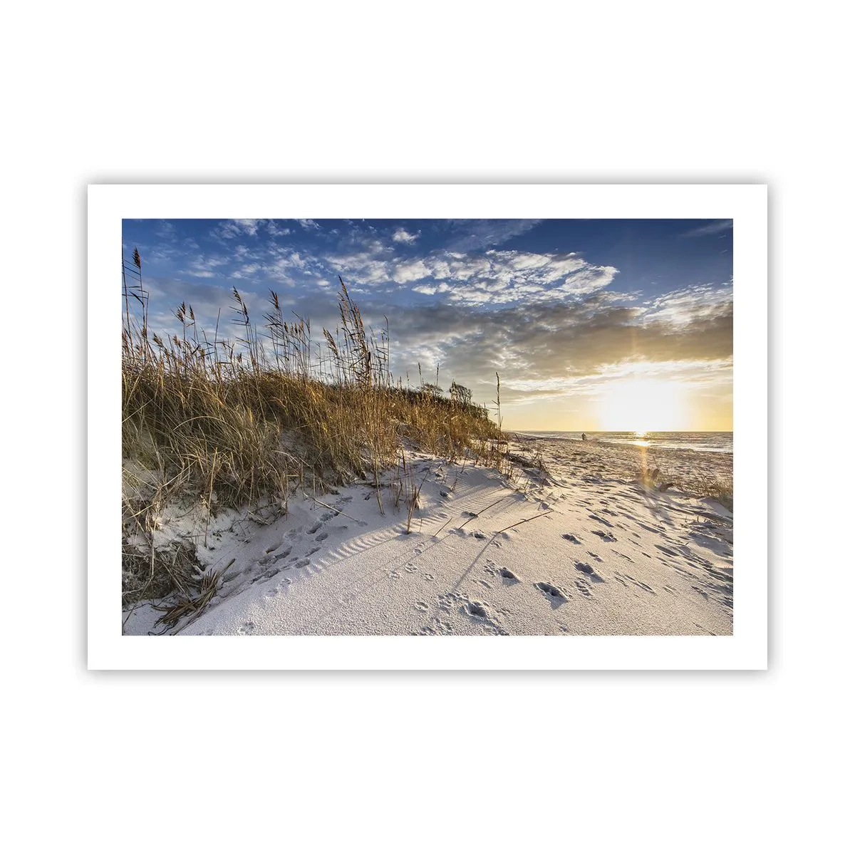 Poster - Invitație la o plimbare - 70x50 cm