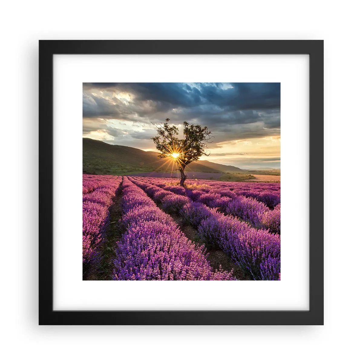 Poster în ramă neagră - Aroma în liliac - 30x30 cm