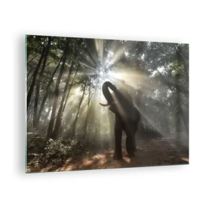 Tablou pe sticlă - Un elefant într-o pădure luminată de lumina soarelui - 70x50cm - Sub o stea norocoasă - Decorațiune modernă pentru perete pentru living și dormitor ARTTOR