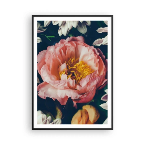 Poster în ramă neagră - Cu splendoare barocă - 70x100 cm