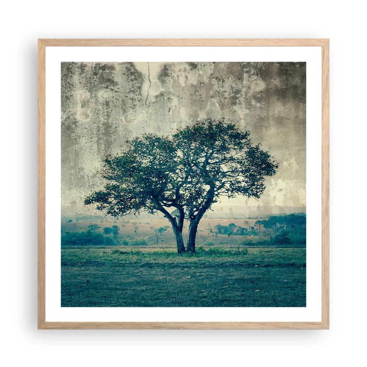 Poster în ramă de stejar deschis - Un măr pe o pajiște albastră? - 60x60 cm