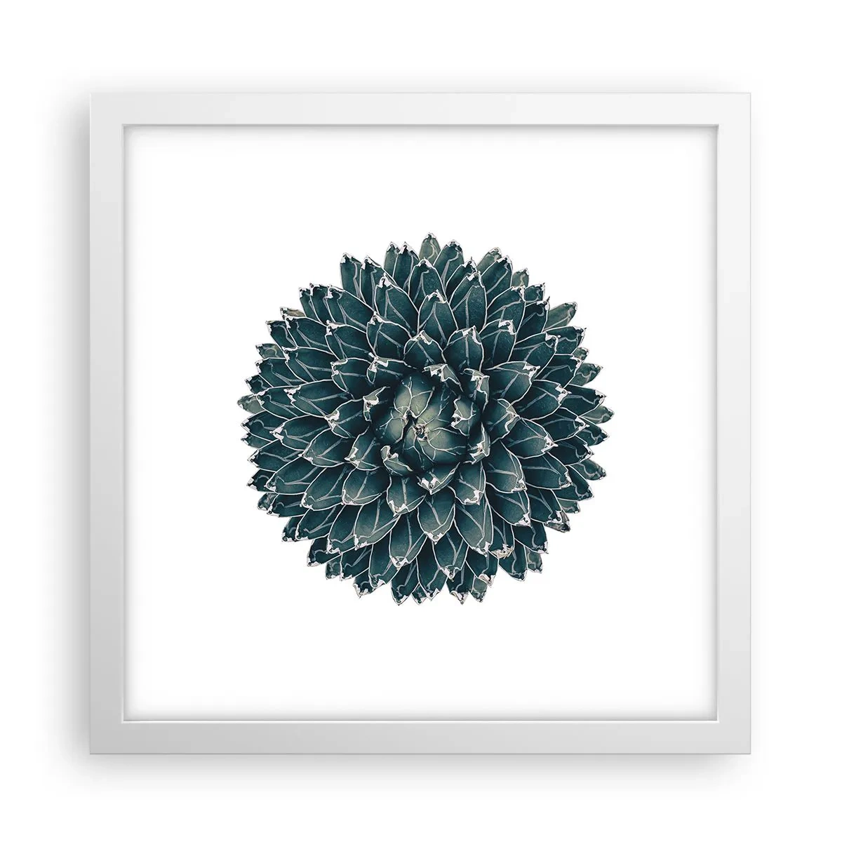 Poster în ramă albă - Steaua deșertului - 30x30 cm