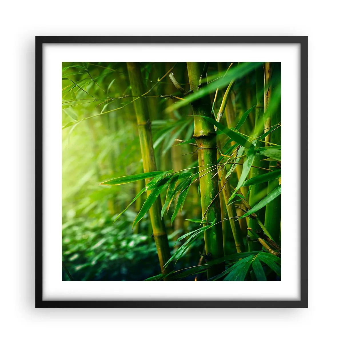 Poster în ramă neagră - Cunoașteți verdeața în sine - 50x50 cm