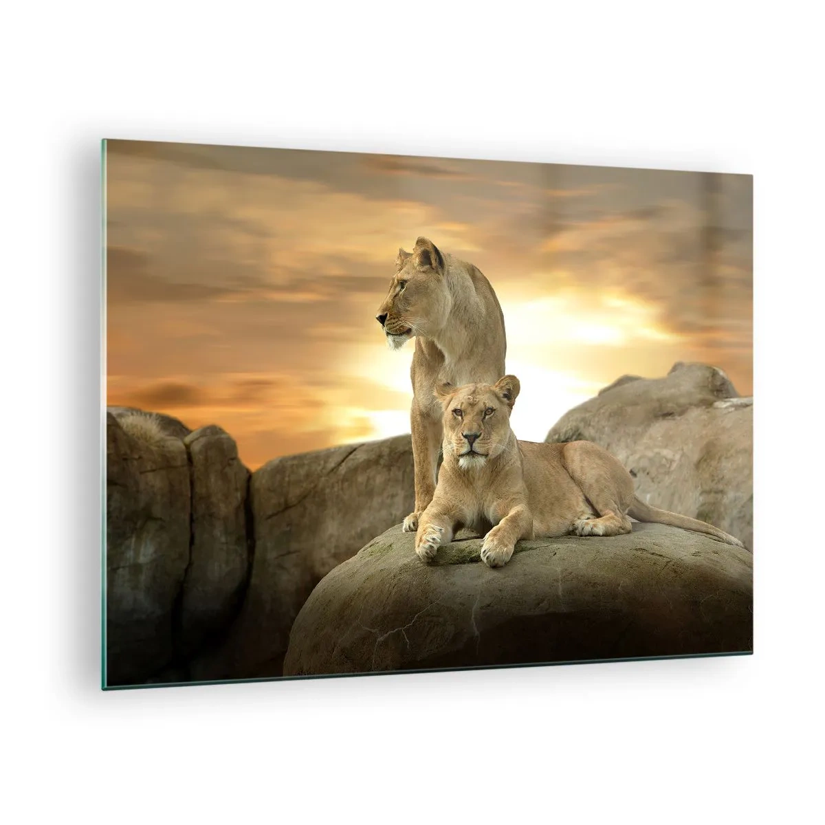 Tablou pe sticlă - Majestatea Regală - 70x50cm - Maiestate regală - Decorațiune modernă pentru perete pentru living și dormitor ARTTOR