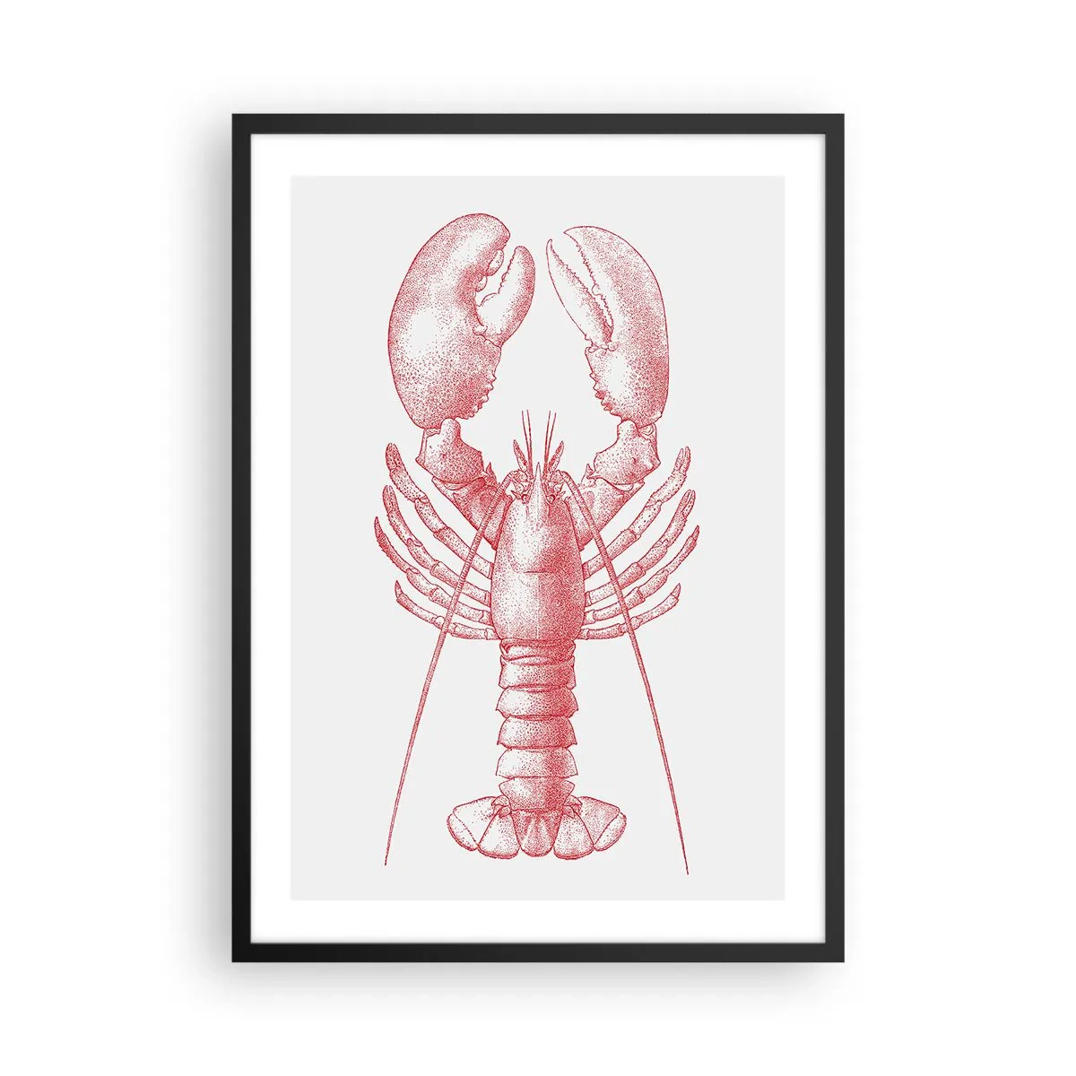 Poster în ramă neagră - Homar demn de Homer - 50x70 cm