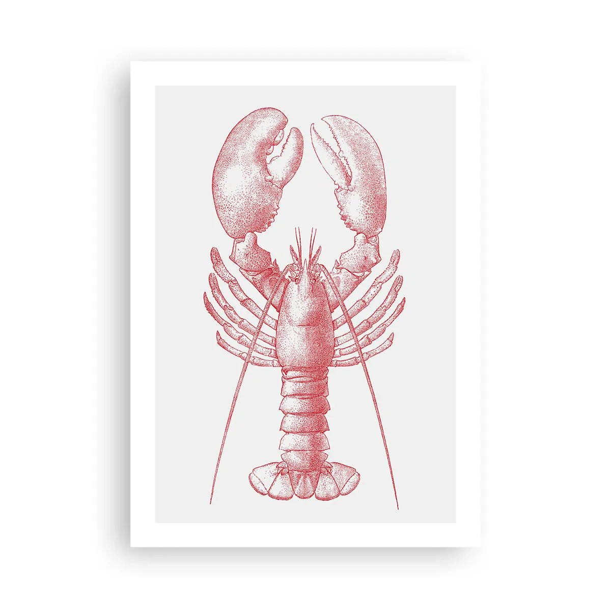 Poster - Homar demn de Homer - 50x70 cm