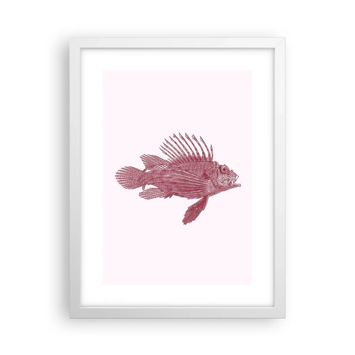 Poster în ramă albă - Un locuitor al apelor exotice - 30x40 cm