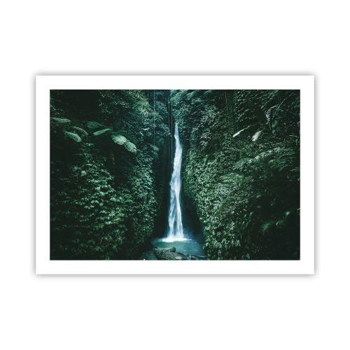 Poster - Băi tropicale - 70x50 cm