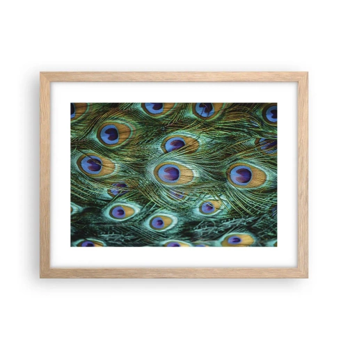 Poster în ramă de stejar deschis - O privire cu ochi de păun - 40x30 cm