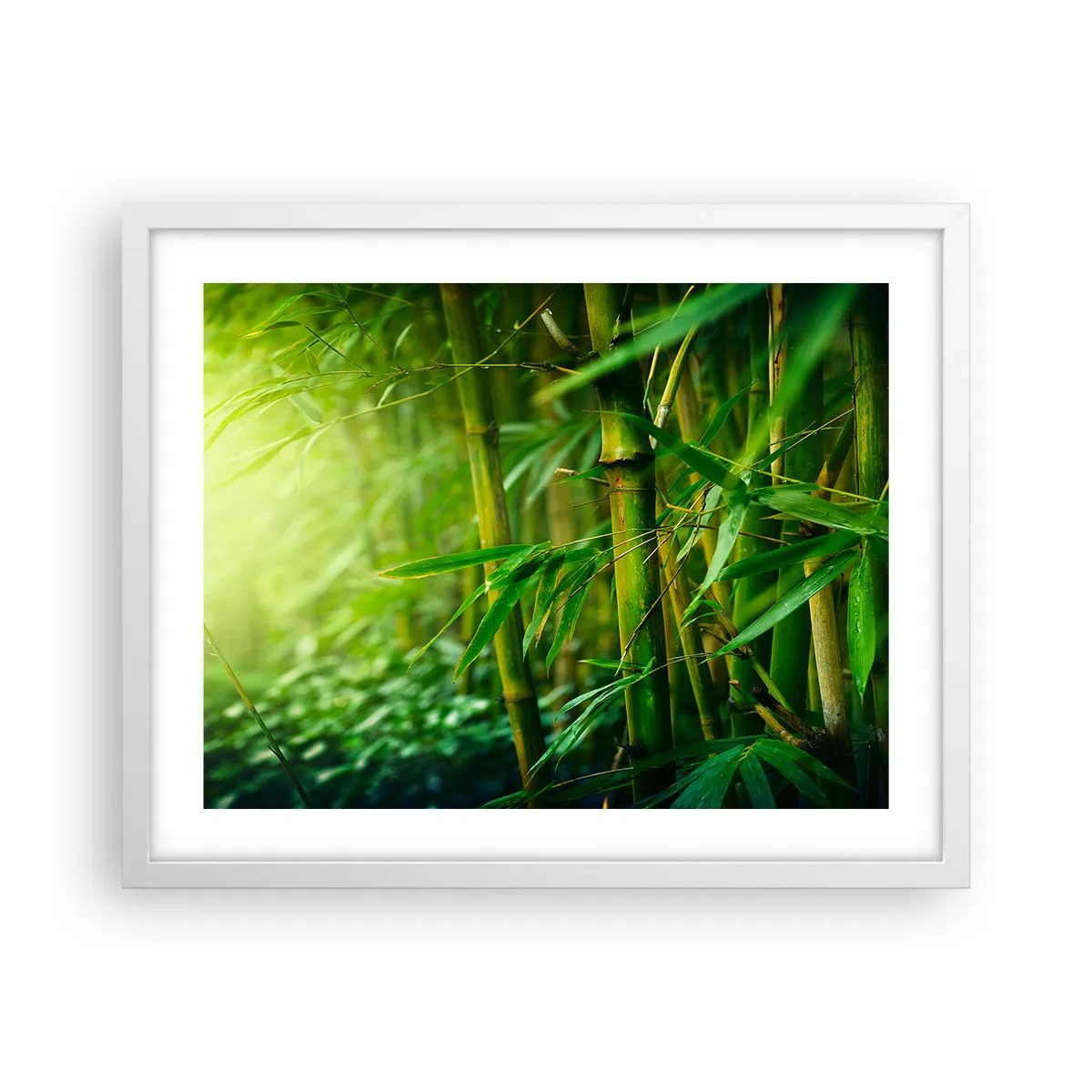 Poster în ramă albă - Cunoașteți verdeața în sine - 50x40 cm
