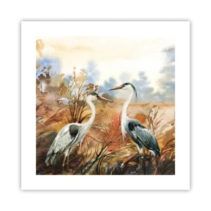 Poster - Încotro în toamnă? - 40x40 cm