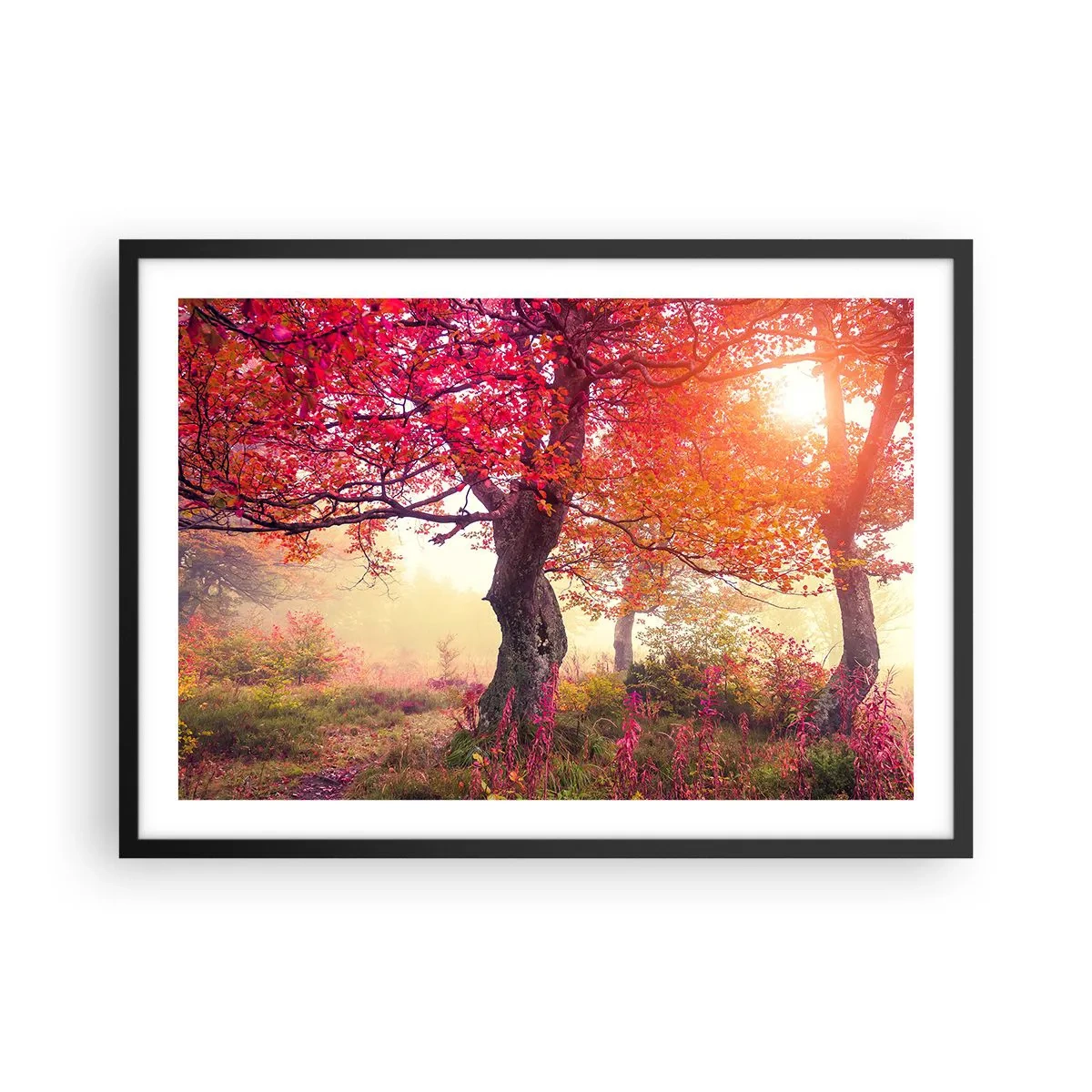 Poster în ramă neagră - O frenezie de înflorire - 70x50 cm