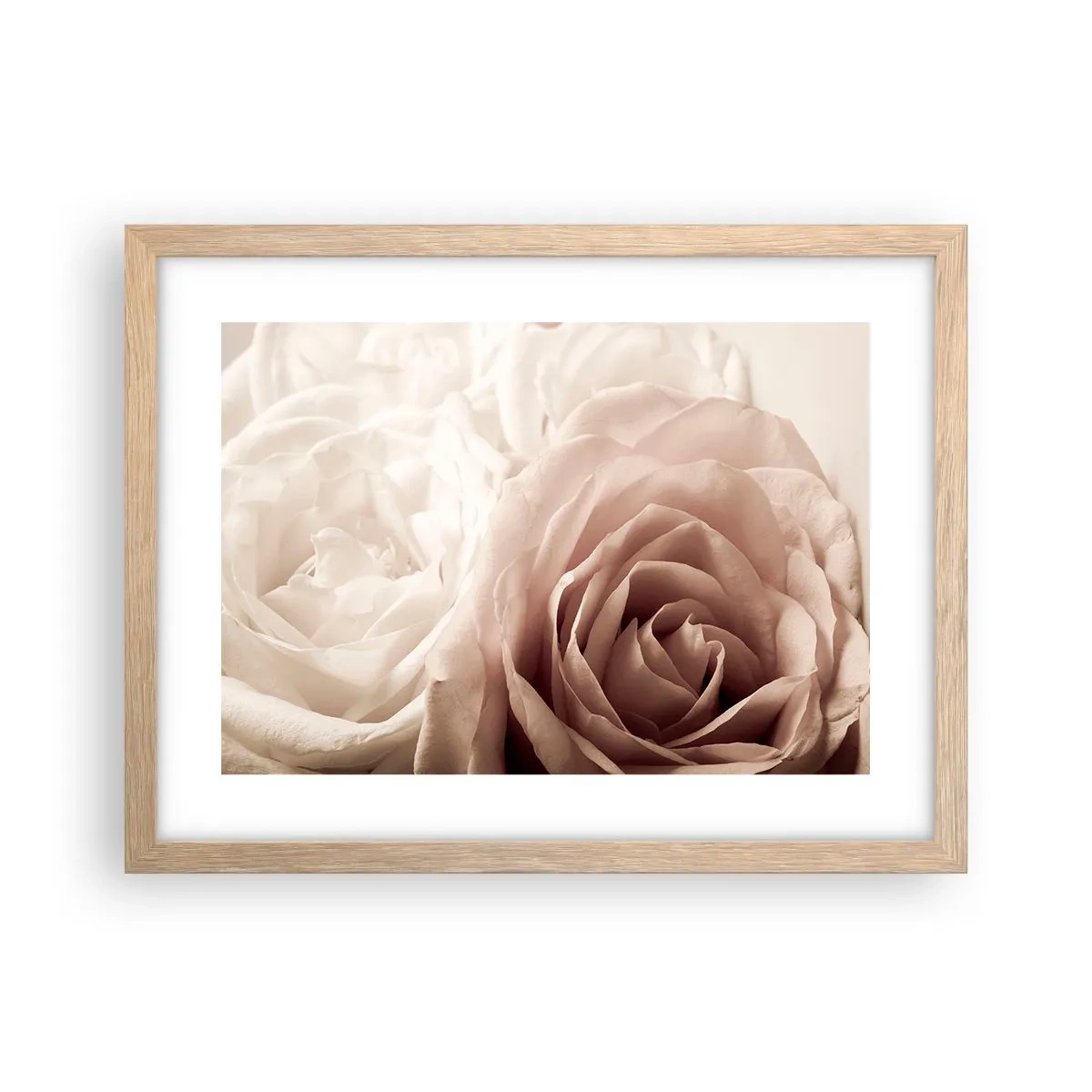 Poster în ramă de stejar deschis - În inima unui trandafir - 40x30 cm