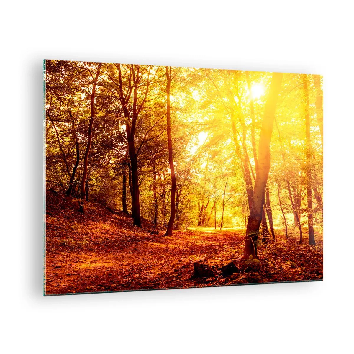 Tablou pe sticlă - Pădurea de toamnă iluminată de strălucirea caldă a soarelui - 70x50cm - Spre o poiană de aur - Decorațiune modernă pentru perete pentru living și dormitor ARTTOR