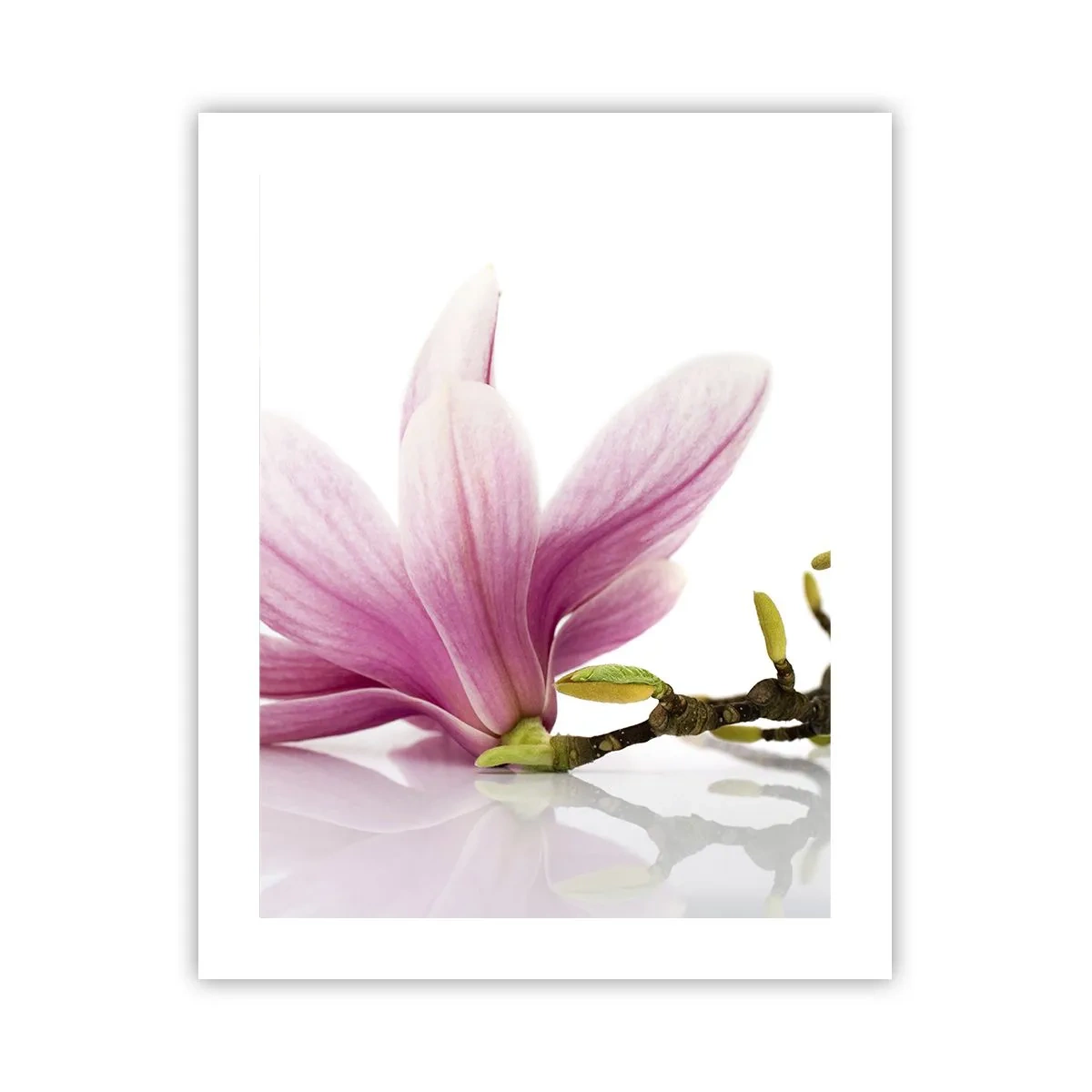 Poster - Delicate ca o adiere de primăvară - 40x50 cm
