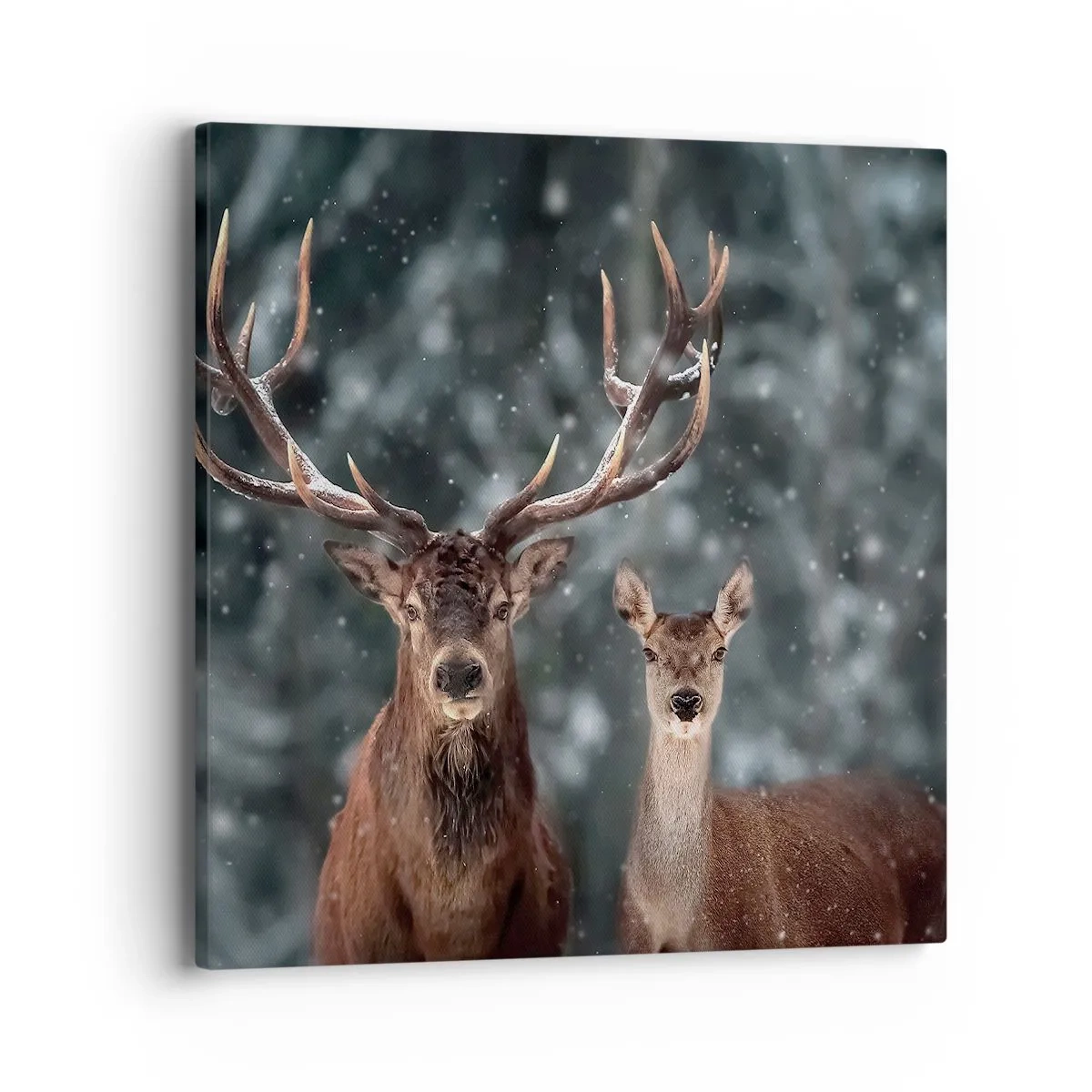 Tablou pe pânză - Stăpânul pădurii și soția sa - 40x40 cm