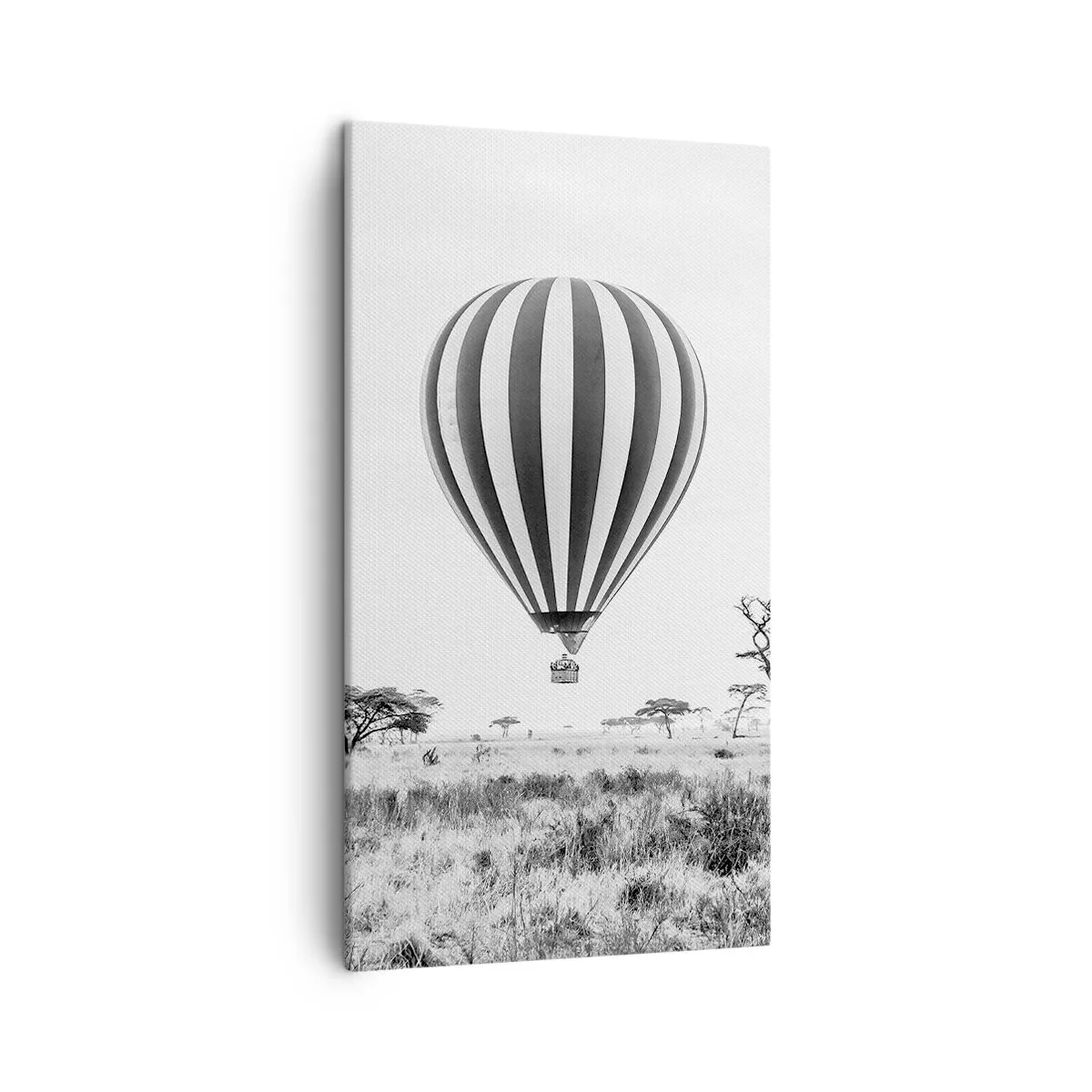 Tablou pe pânză - Peste savană - 45x80 cm