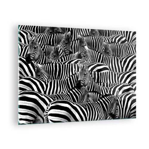 Tablou pe sticlă - O turmă de zebre în monocrom - 70x50cm - Portret de grup cu dungi - Decorațiune modernă pentru perete pentru living și dormitor ARTTOR