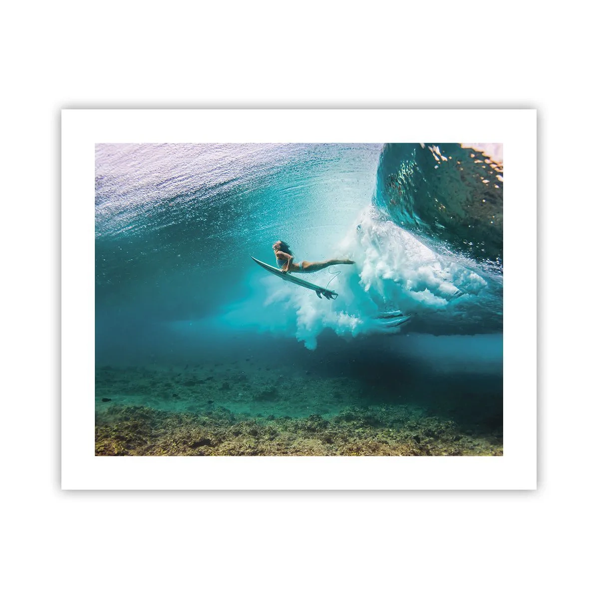 Poster - Lumea subacvatică - 50x40 cm