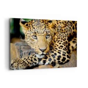 Tablou pe pânză - Nu-ți fie teamă, apropie-te - 100x70 cm