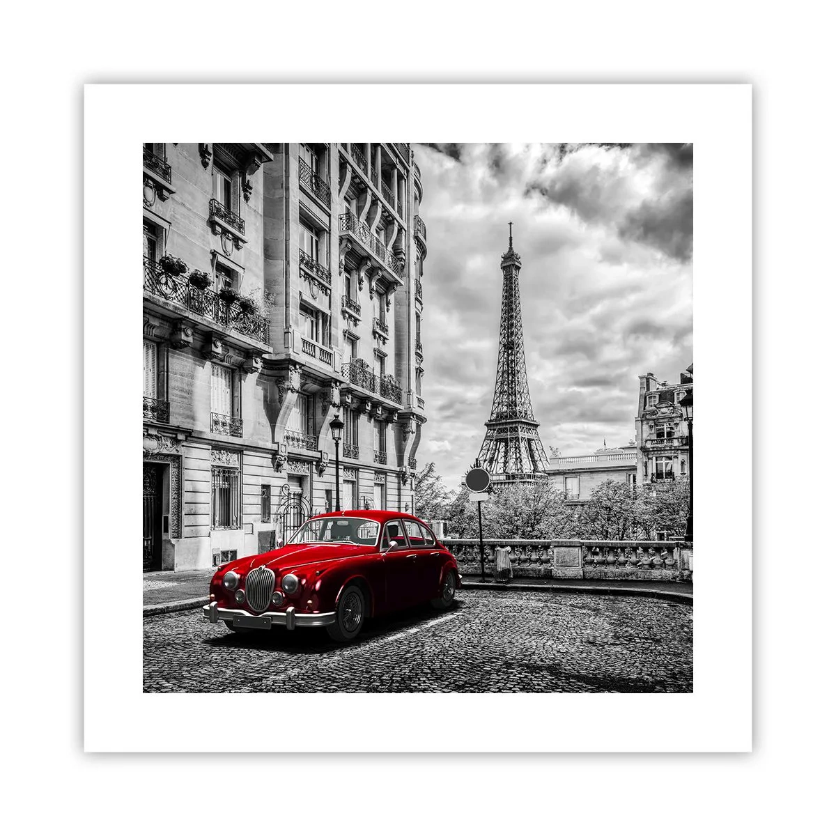 Poster - Prădător în oraș - 40x40 cm