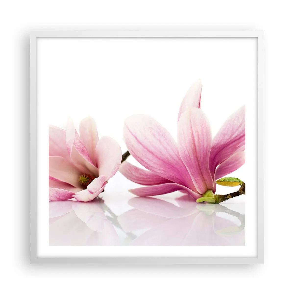 Poster în ramă albă - Delicate ca o adiere de primăvară - 60x60 cm