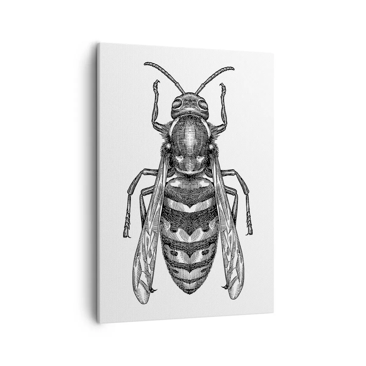 Tablou pe pânză - De pe o planetă de insecte - 50x70 cm