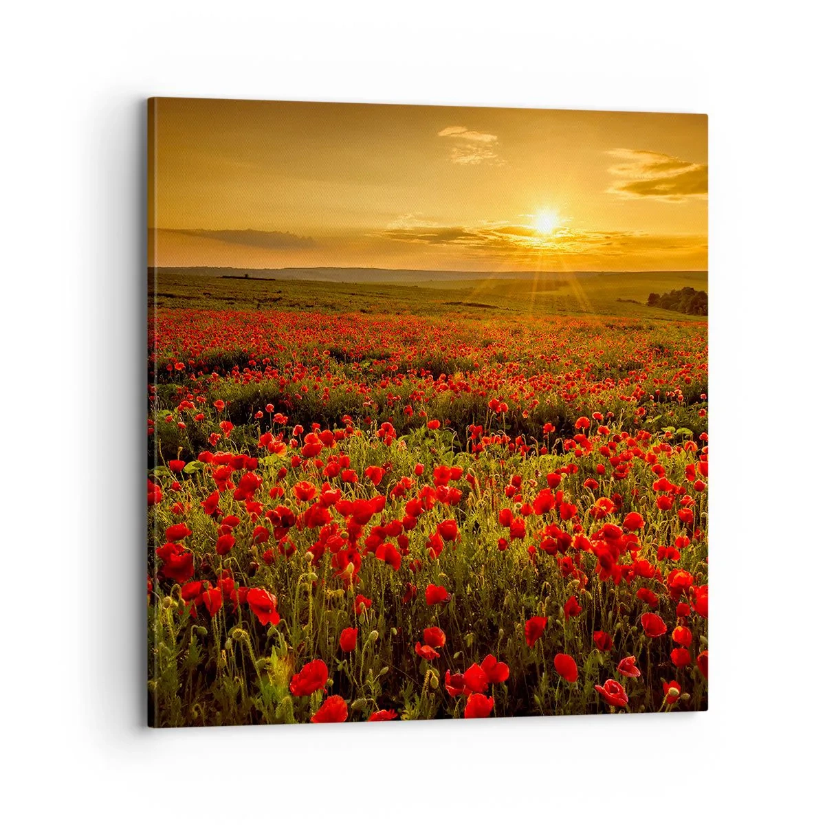 Tablou pe pânză - Printre valuri de pajiști care zumzăie, printre potop de flori - 70x70 cm