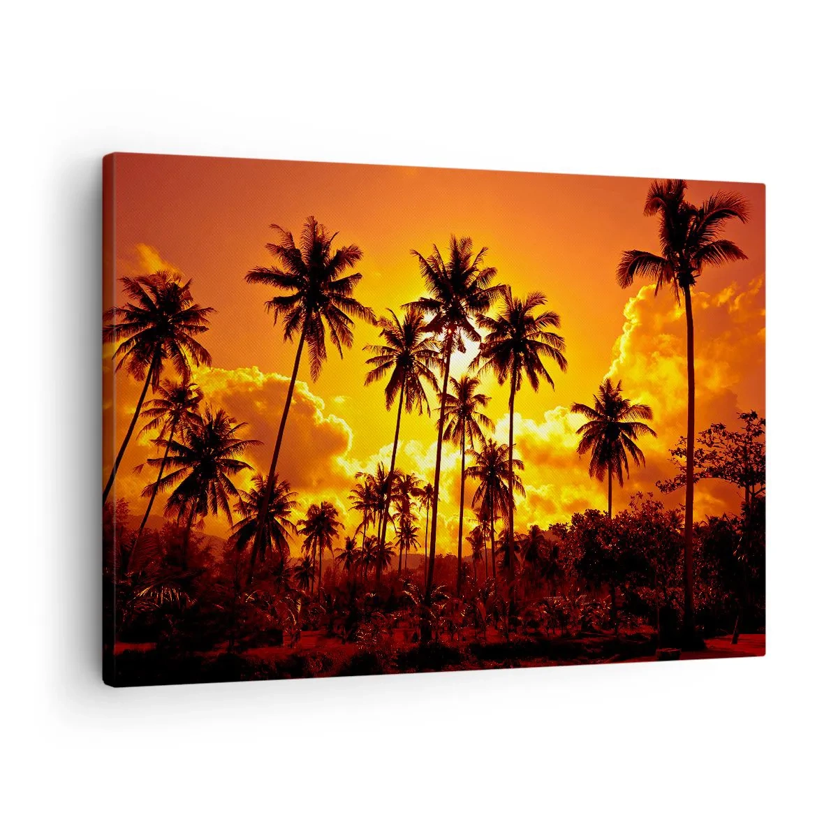 Tablou pe pânză Canvas - Palmieri pe un cer auriu în timpul unui apus de soare tropical - 70x50cm - Munții ard, pădurile ard - Decorațiune modernă pentru perete pentru living și dormitor ARTTOR