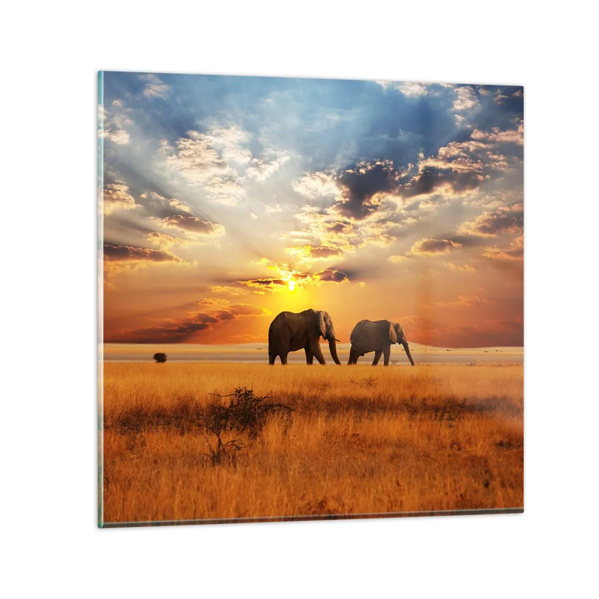 Tablou pe sticlă - Plimbare în familie - 30x30 cm