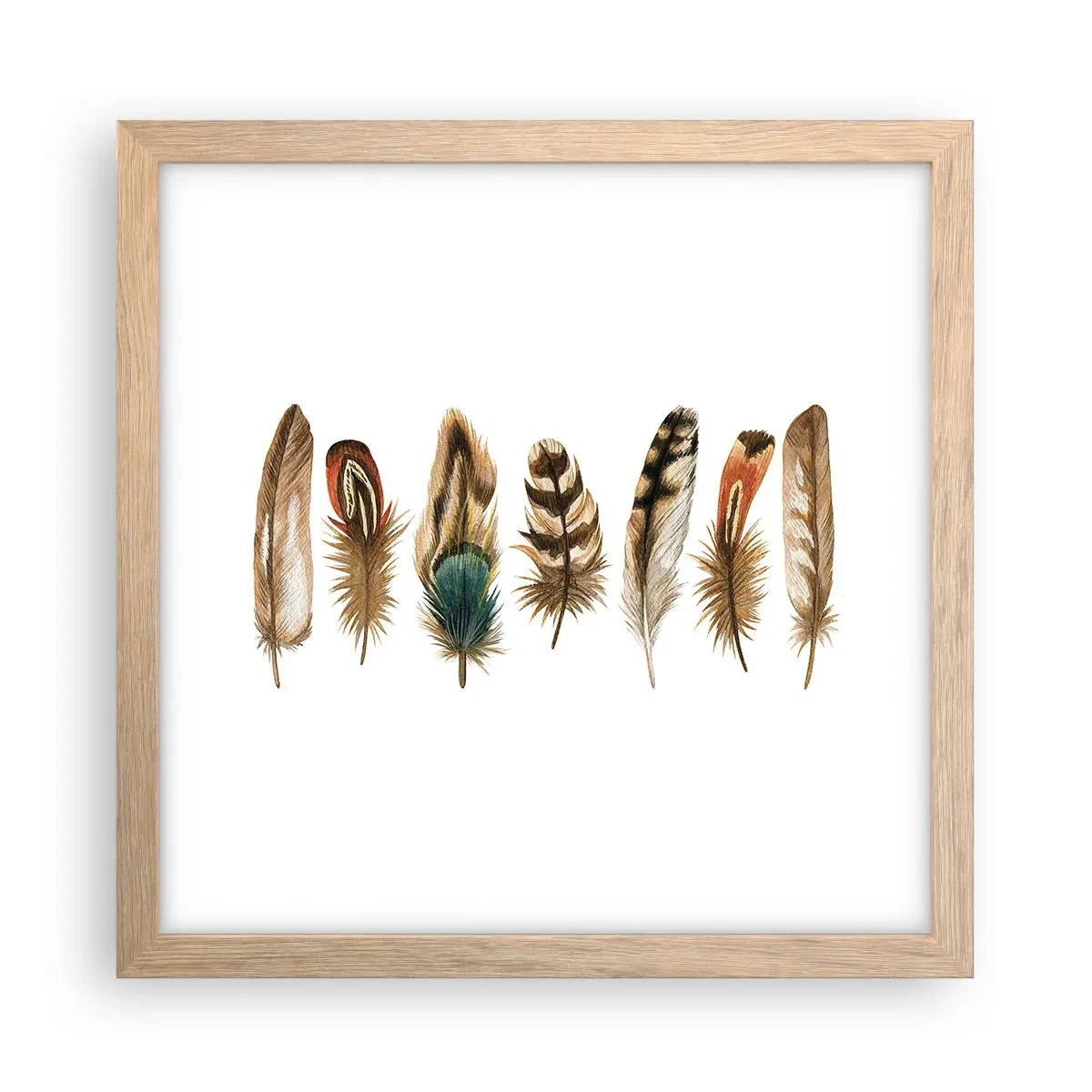 Poster în ramă de stejar deschis - Variație cu pene - 30x30 cm
