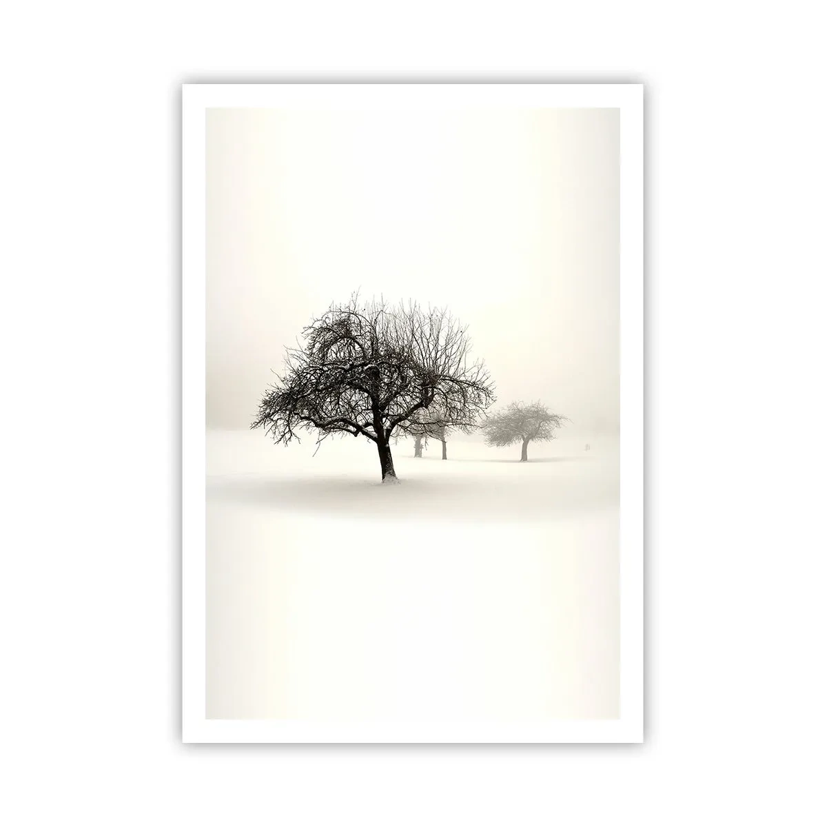 Poster - Hibernare - 70x100 cm